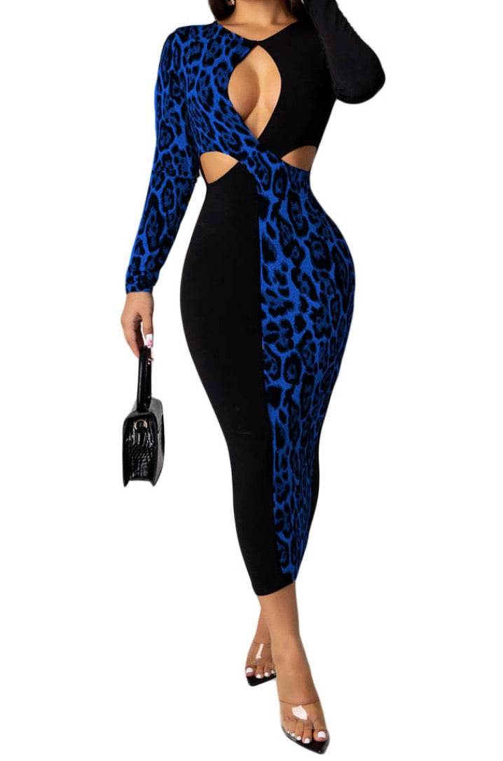 Savage Leopard Dress